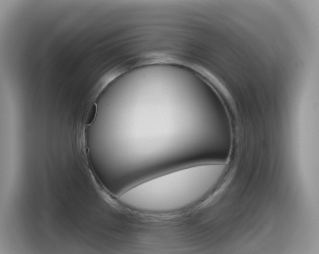 X0000114441289200910161044