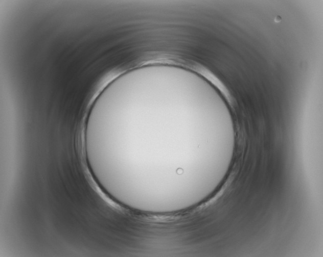 X0000114441290200910161044