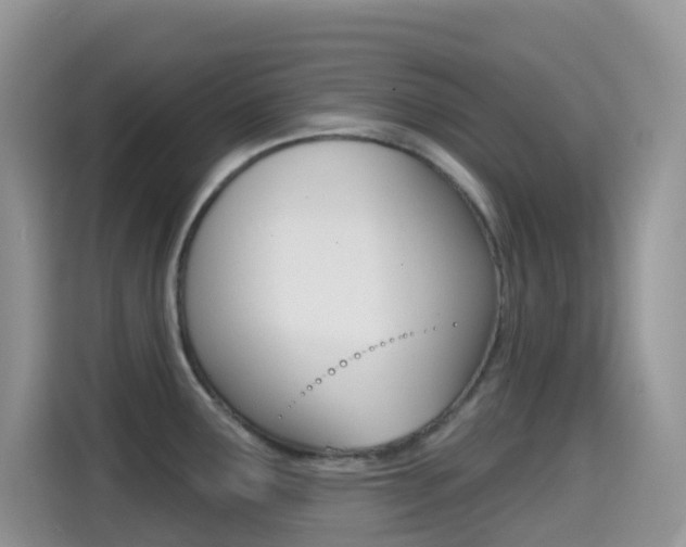 X0000114441291200910161044