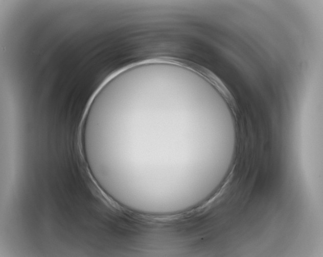 X0000114441292200910161044
