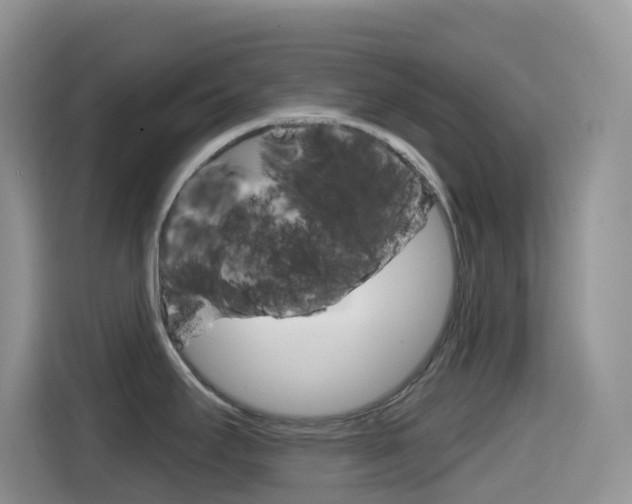 X0000114441295200910161044