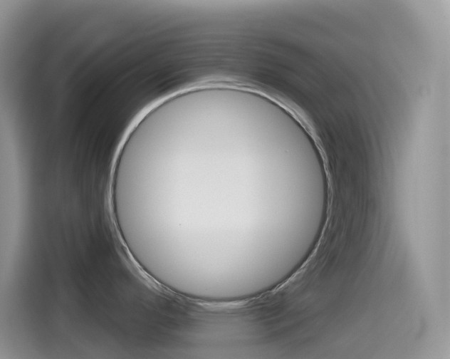 X0000114441296200910161044