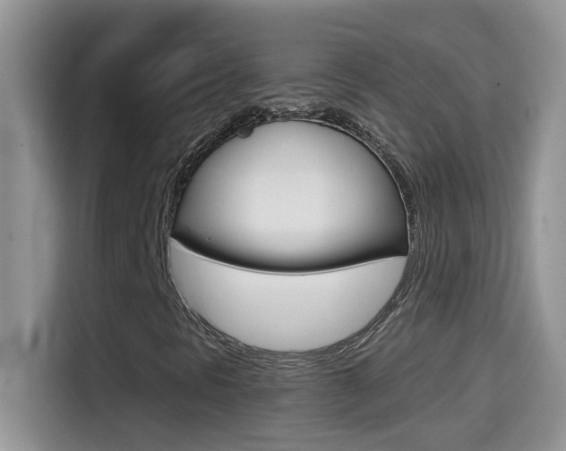 X0000114441297200910161044