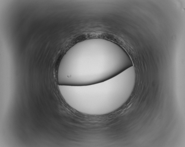 X0000114441299200910161044