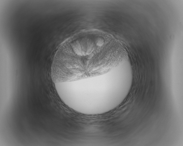 X0000114441301200910161044