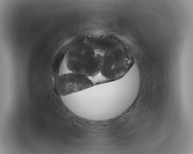 X0000114441302200910161044