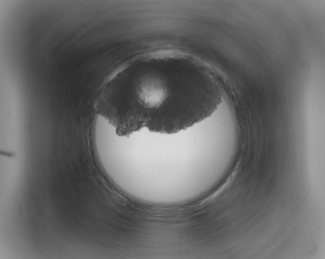 X0000114441305200910161044