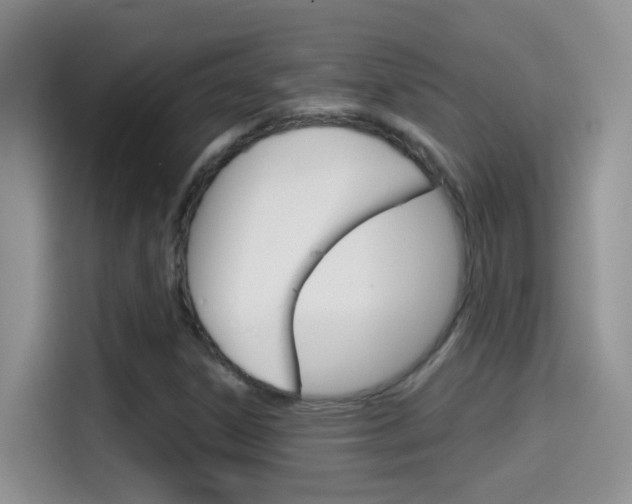 X0000114441306200910161044