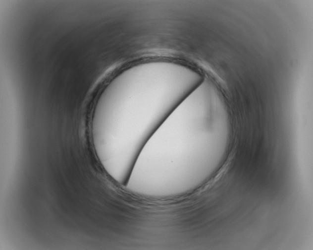 X0000114441307200910161044