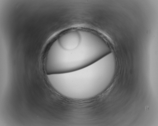 X0000114441311200910161044