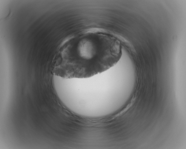 X0000114441313200910161044