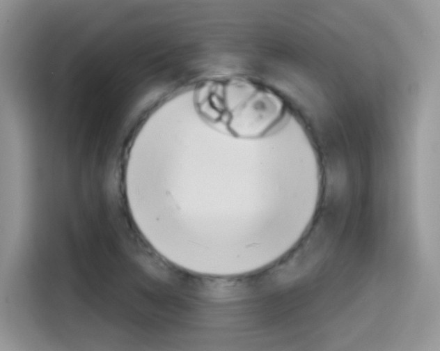 X0000114441314200910161044