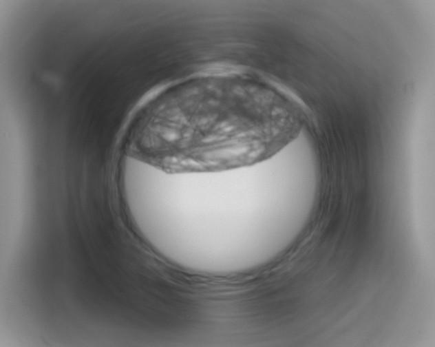 X0000114441315200910161044
