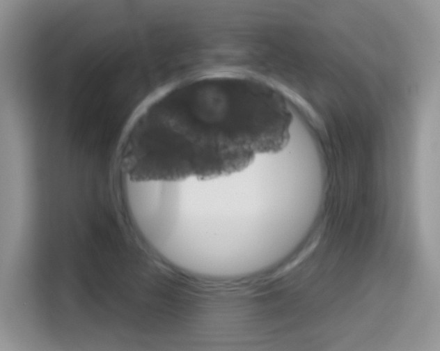 X0000114441317200910161044