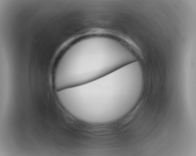 X0000114441318200910161044
