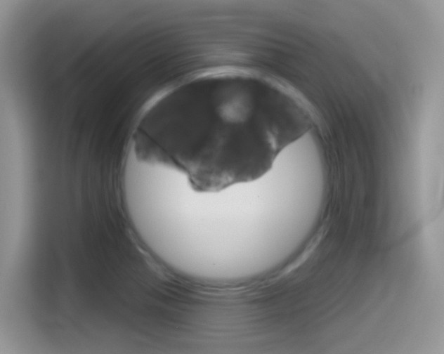 X0000114441321200910161044