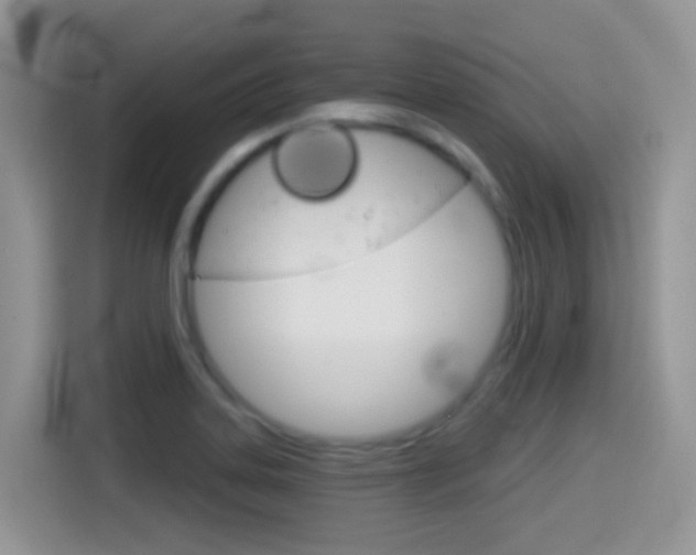 X0000114441323200910161044