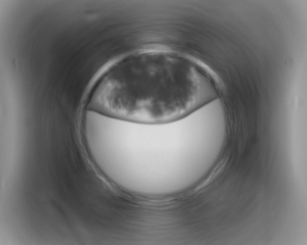X0000114441325200910161044
