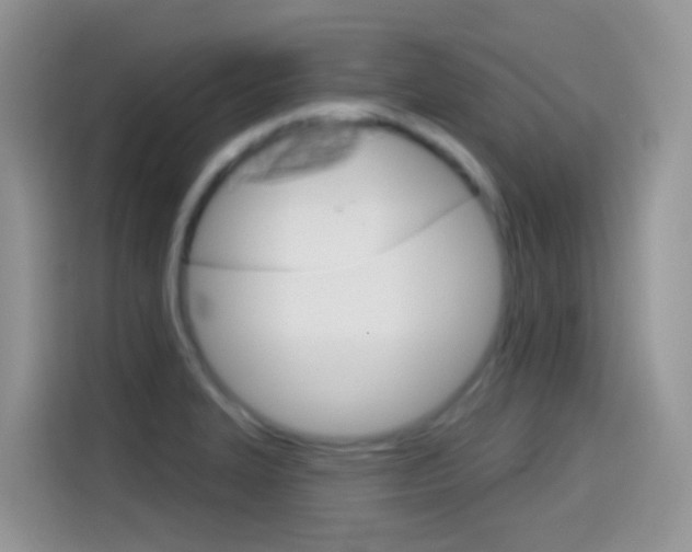 X0000114441327200910161044
