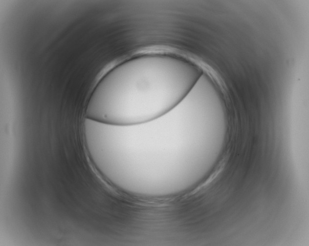 X0000114441329200910161044