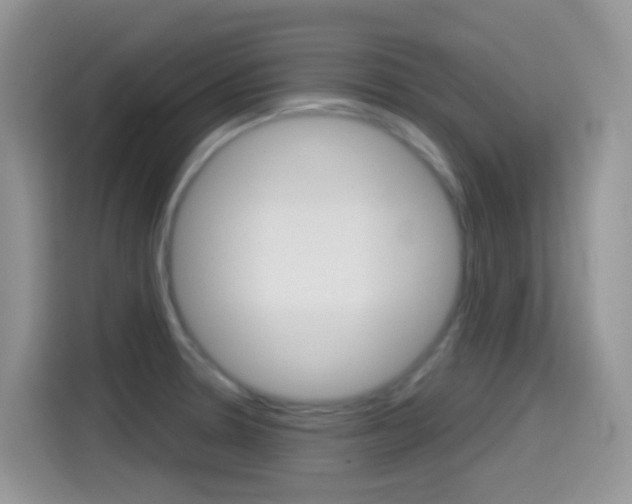 X0000114441330200910161044
