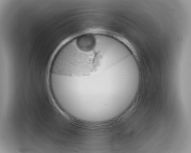 X0000114441331200910161044