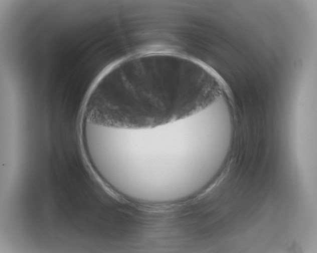 X0000114441333200910161044