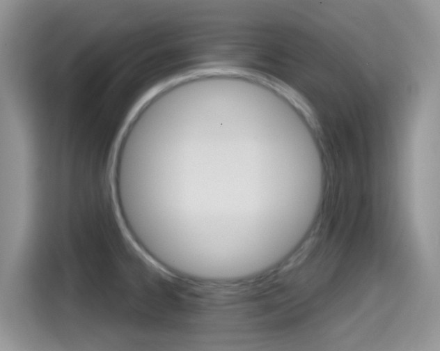 X0000114441334200910161044