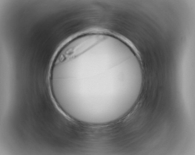 X0000114441335200910161044