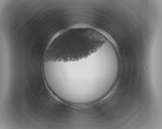 X0000114441337200910161044