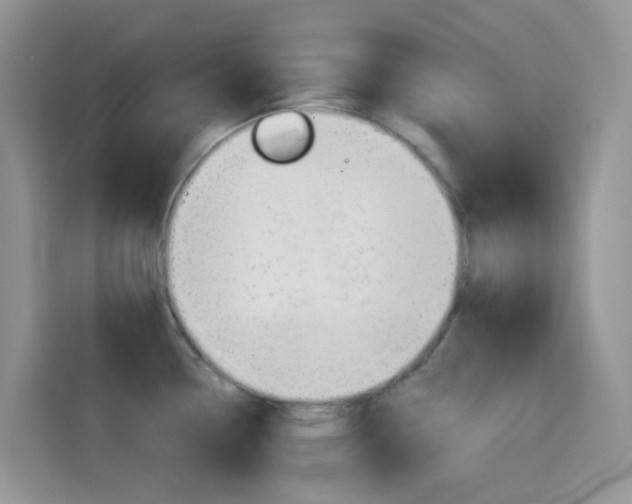 X0000114441338200910161044