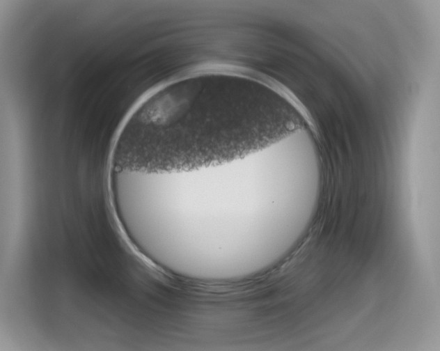 X0000114441339200910161044