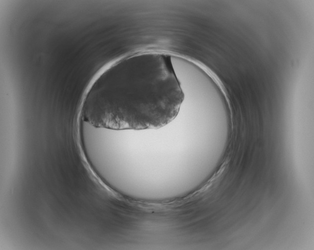 X0000114441341200910161044