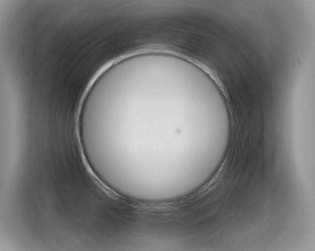 X0000114441342200910161044