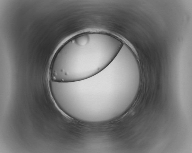 X0000114441343200910161044