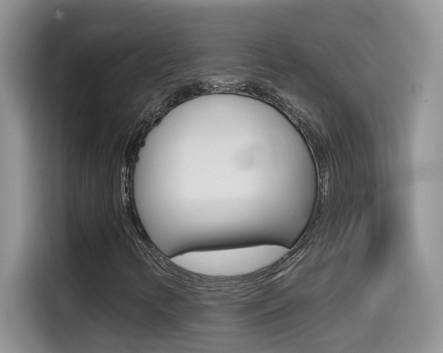 X0000114441346200910161044