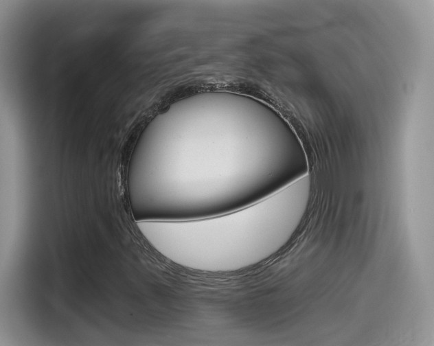 X0000114441347200910161044