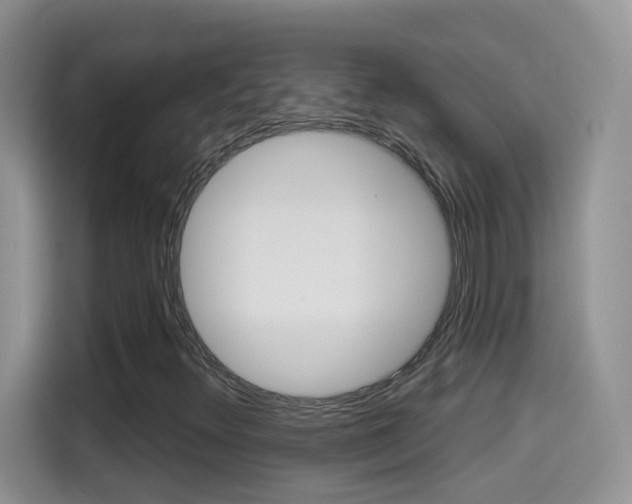 X0000114441348200910161044