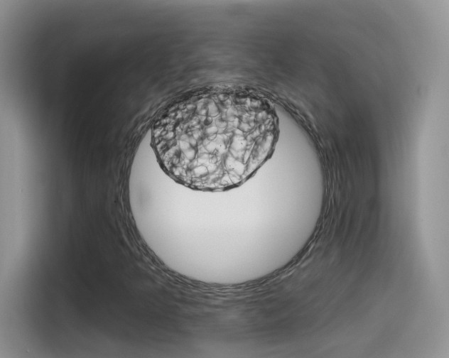 X0000114441349200910161044