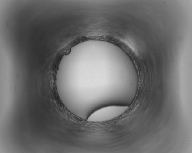 X0000114441350200910161044