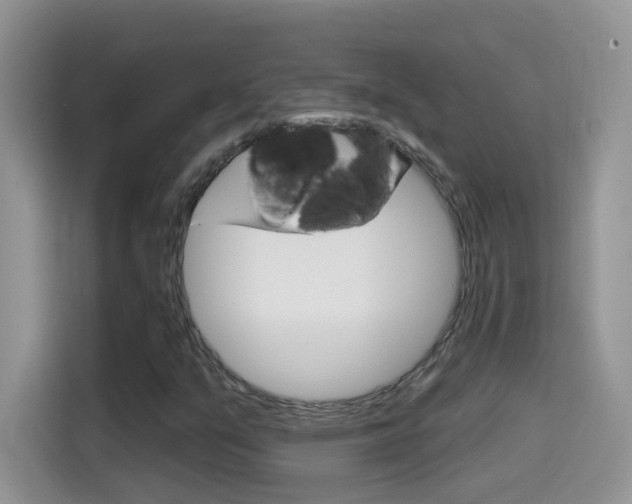 X0000114441351200910161044