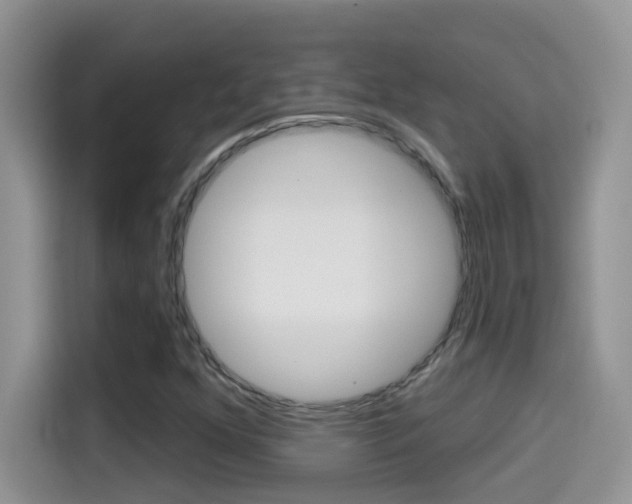 X0000114441352200910161044