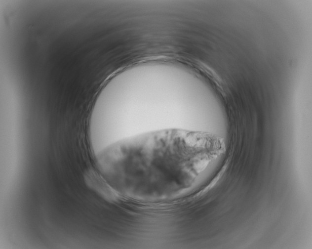 X0000114441353200910161044