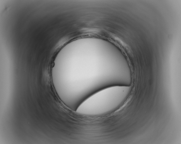 X0000114441354200910161044