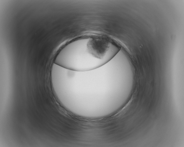 X0000114441355200910161044