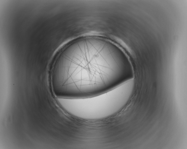 X0000114441356200910161044