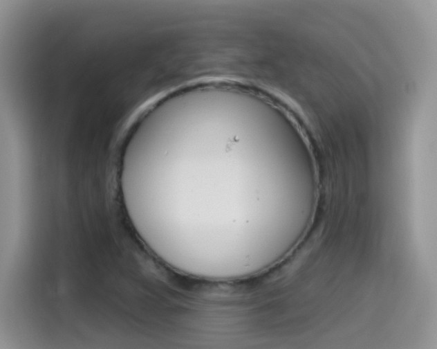 X0000114441359200910161044