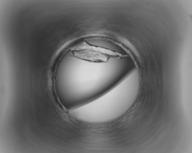 X0000114441360200910161044