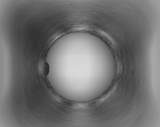 X0000114441361200910161044