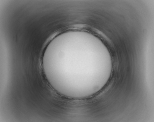 X0000114441362200910161044